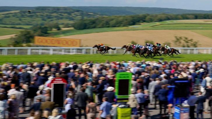 Goodwood racing and crowd.